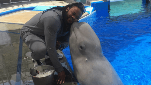 johnny-cueto-giants-porpoise-kiss